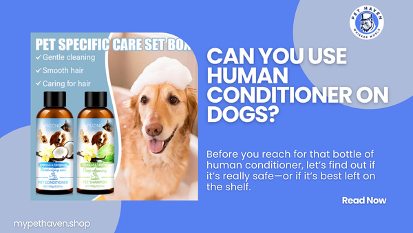 Can You Use Human Conditioner on Dogs?