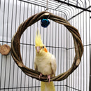 Bird Standing Frame / bird chew toy