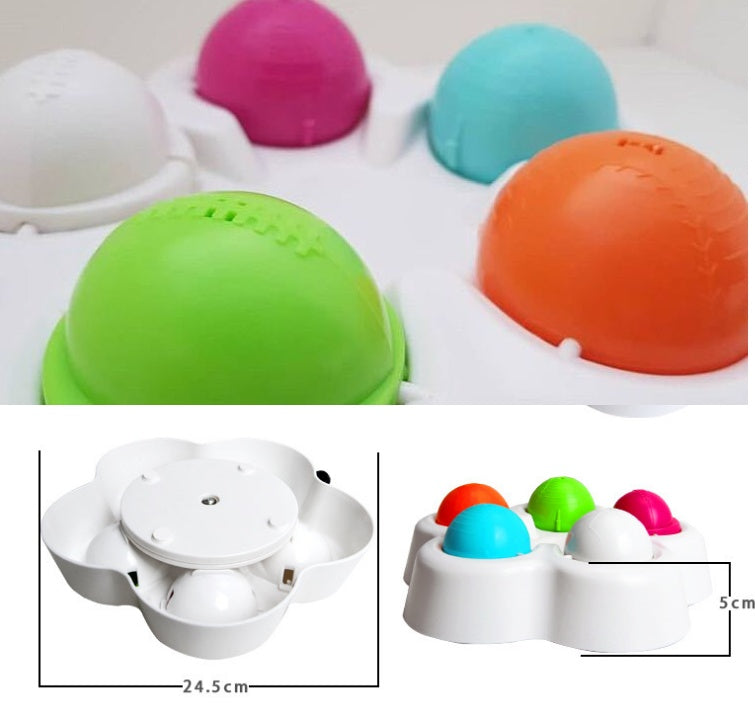 Pet treasure hunt slow food bowl