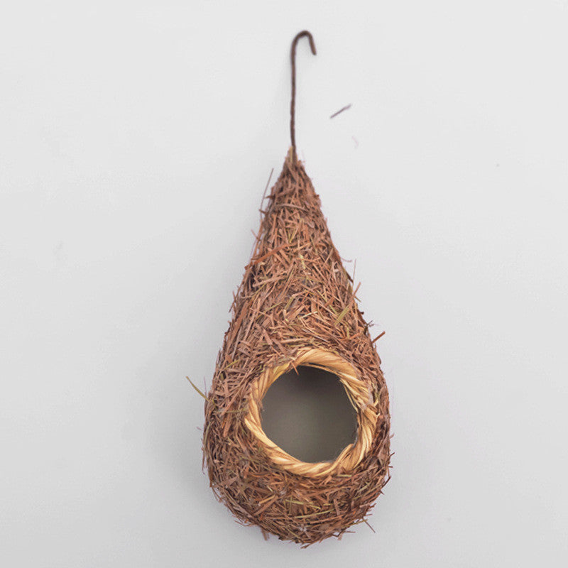 Small bird nest