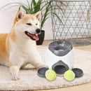 Interactive Treat Ball for Dogs – Food Leaking Training Toy