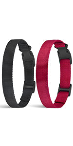 Dog TPU Collar Personalized Pet Collar Dog Nylon Collar Pet Cat Collars for Small Medium Large Dogs Fashion Necklace