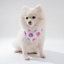 Pet Cat Dog Clothing Accessories