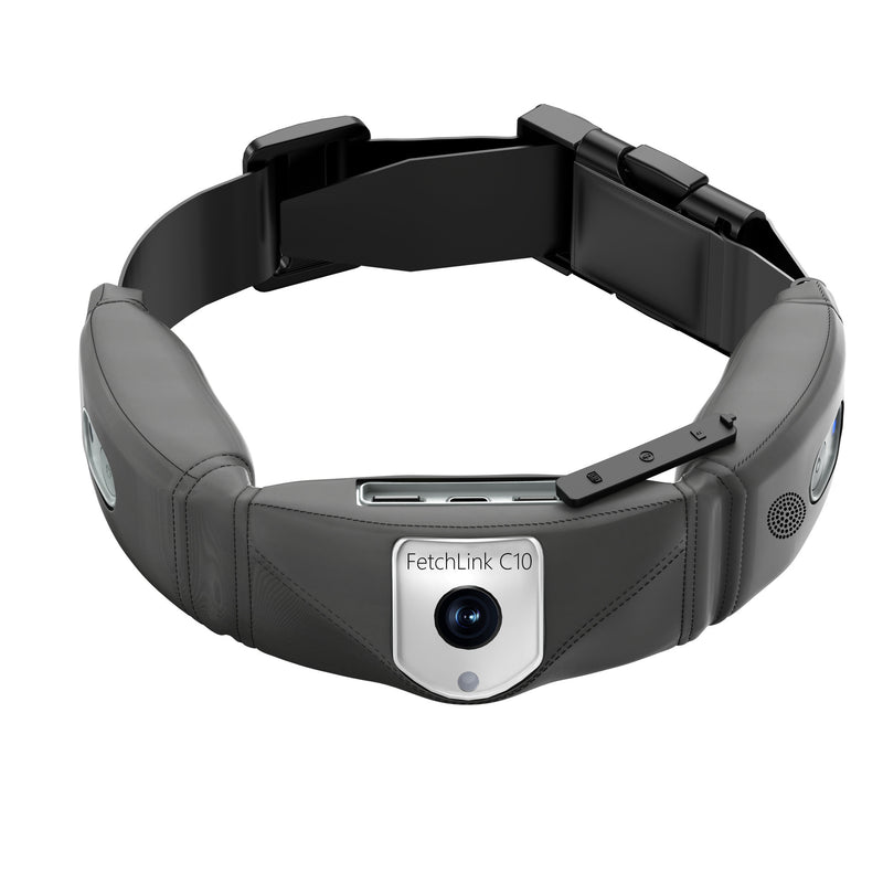 C10 Smart Pet Collar Monitoring Health Multifunctional