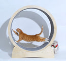Wooden Cat Treadmill Roller – Quiet Running Toy