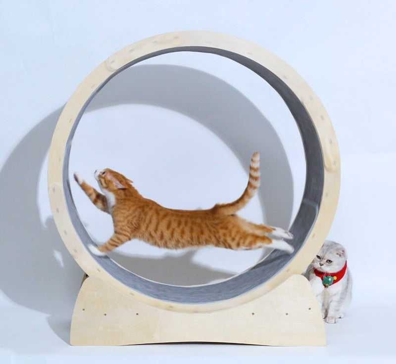 Wooden Cat Treadmill Roller – Quiet Running Toy