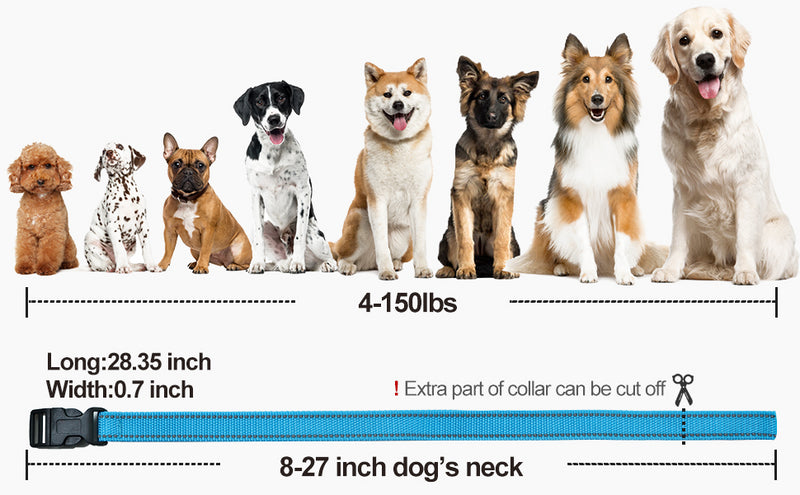 Dog TPU Collar Personalized Pet Collar Dog Nylon Collar Pet Cat Collars for Small Medium Large Dogs Fashion Necklace