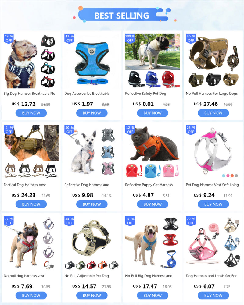 Reflective Safety Pet Dog Harness and Leash Set for Small Medium Dogs Cat Harnesses Vest Puppy Chest Strap Pug Chihuahua Bulldog