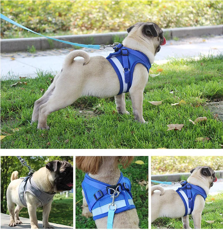 Reflective Safety Pet Dog Harness and Leash Set for Small Medium Dogs Cat Harnesses Vest Puppy Chest Strap Pug Chihuahua Bulldog