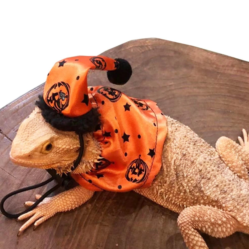Adjustable Bearded Dragon Costume 2Pcs Hat with Cloak for Reptiles Small Pet Animals Holiday Dress Up Accessories