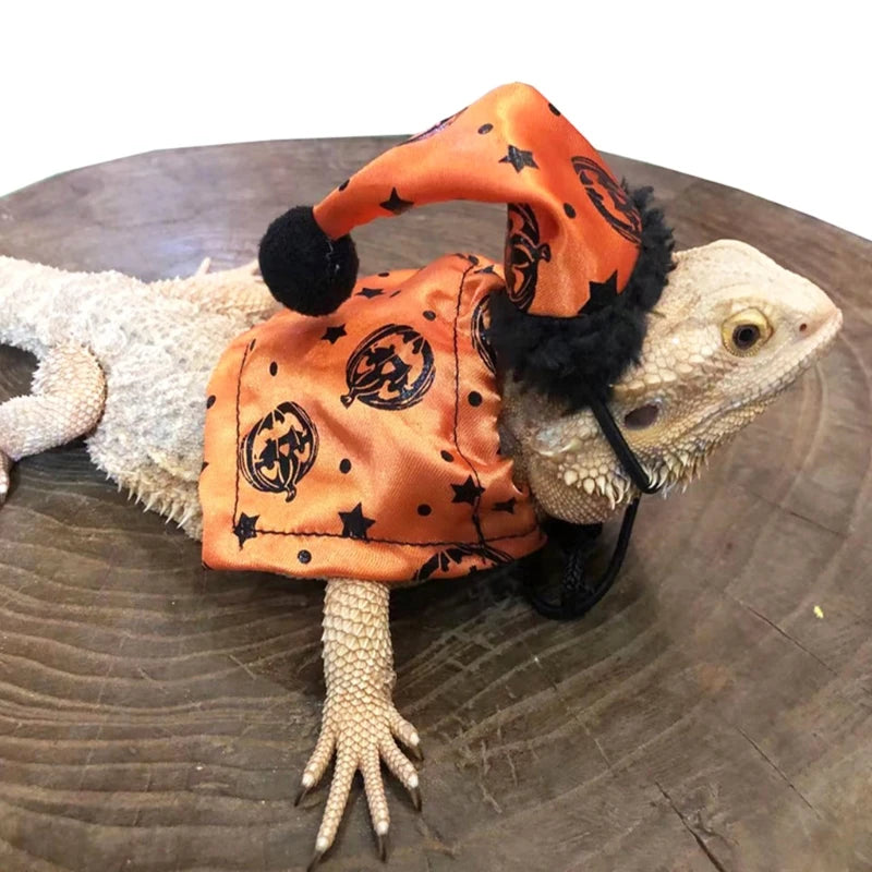 Adjustable Bearded Dragon Costume 2Pcs Hat with Cloak for Reptiles Small Pet Animals Holiday Dress Up Accessories