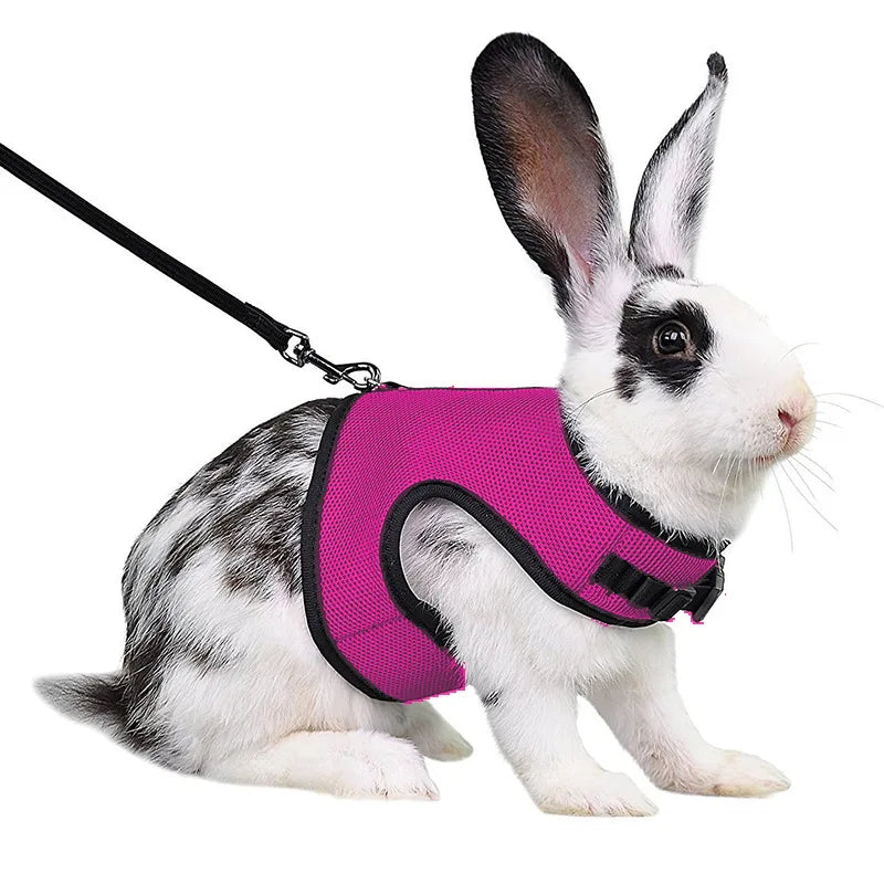 Mesh Breathable Pet leash Ferret Leash Set for Small Animals Rabbit Hamsters Summer Walking Pet Lead mascotas Accessories