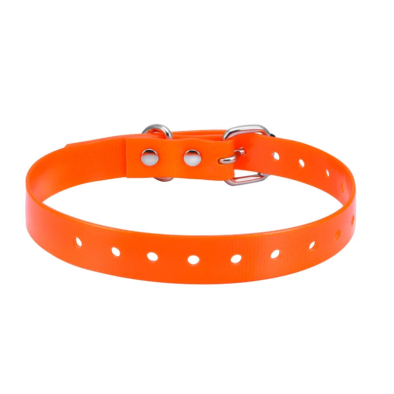 Dog TPU Collar Personalized Pet Collar Dog Nylon Collar Pet Cat Collars for Small Medium Large Dogs Fashion Necklace