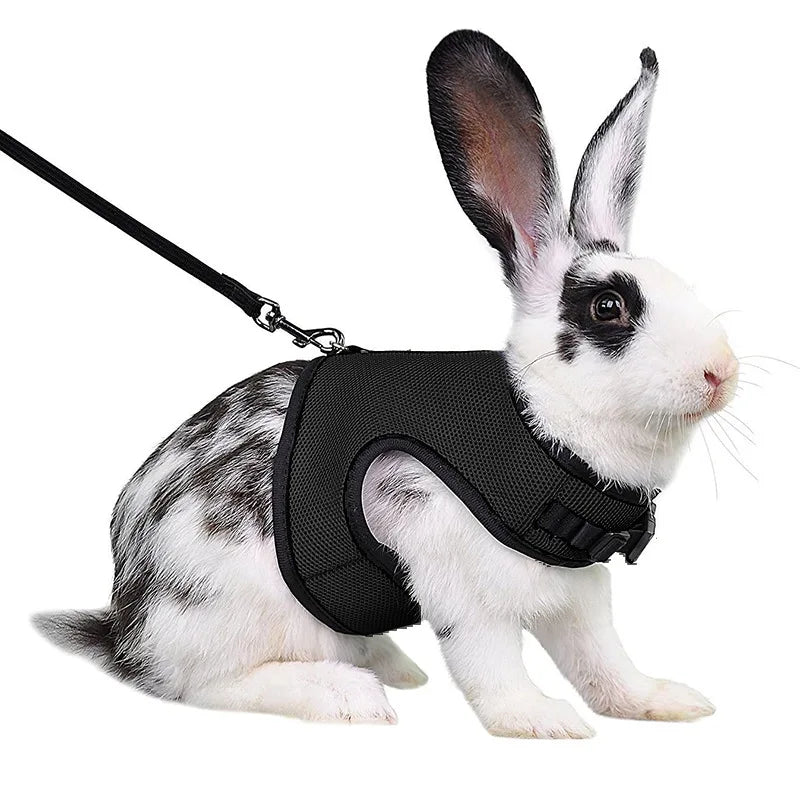 Mesh Breathable Pet leash Ferret Leash Set for Small Animals Rabbit Hamsters Summer Walking Pet Lead mascotas Accessories