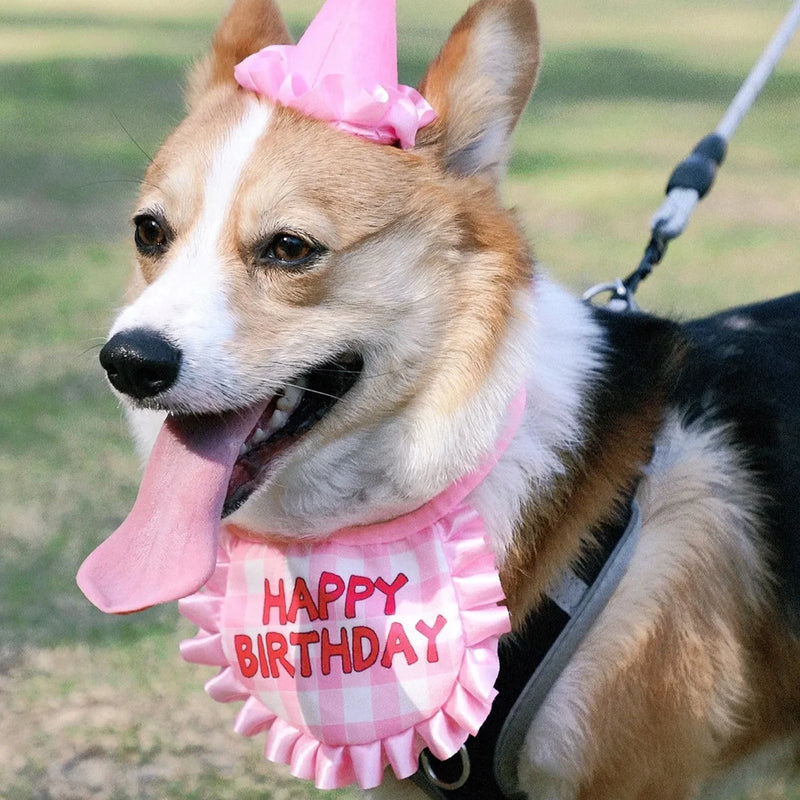 Cat Birthday Scarf Hat Set Dog Birthday Party Supplies Pet Scarf Cute Puppy Birthday Hat Scarf Decor For Small Medium Pets