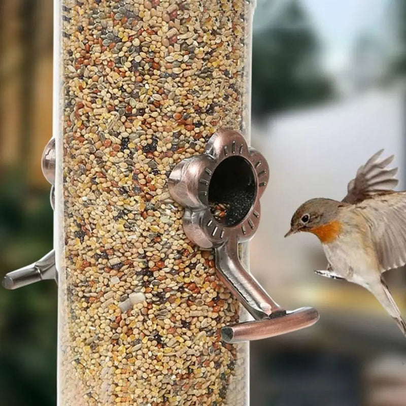 Pet Supplies Metal Bird Feeder Automatic Transparent Bird Food Dispenser Waterproof Large Capacity Bird Feeding Bowl Outdoor
