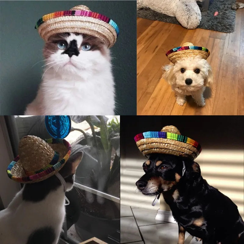 Cute Puppy Dog Cat Straw Woven Sun Hat Cap Mexican Sombrero Pet Supplies Accessories