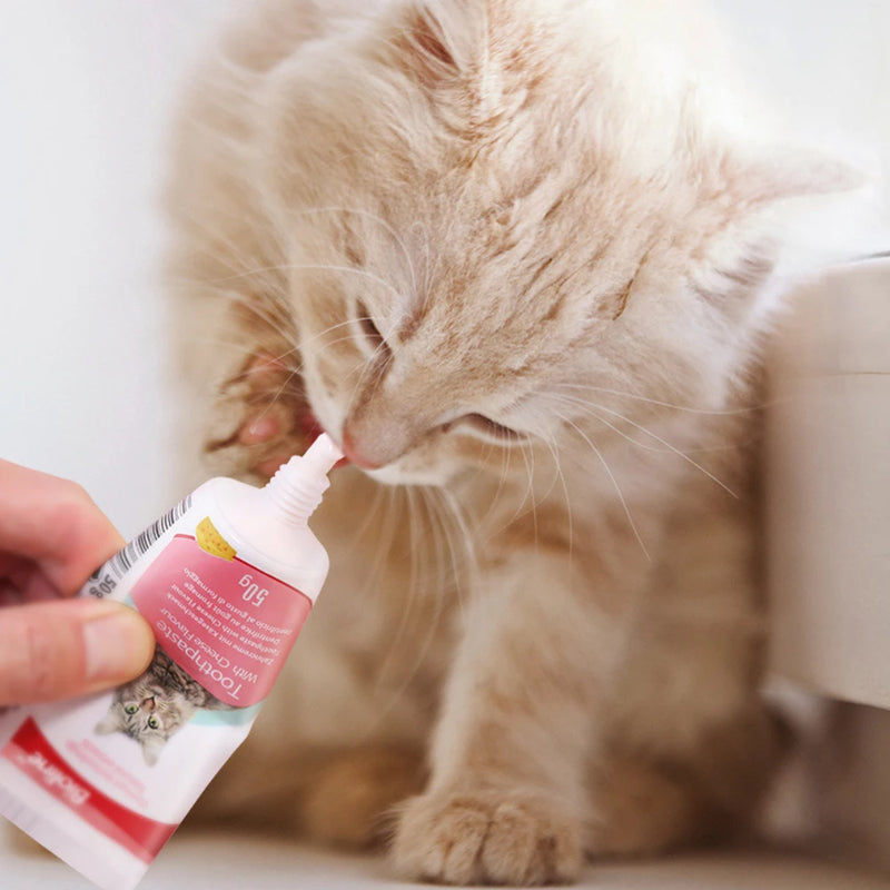 Pet Dog Toothpaste Beef, Chicken, Mint, Sweet Orange Flavors Oral Cleaning Care Fresh Breath Brushing Supplies for Pets