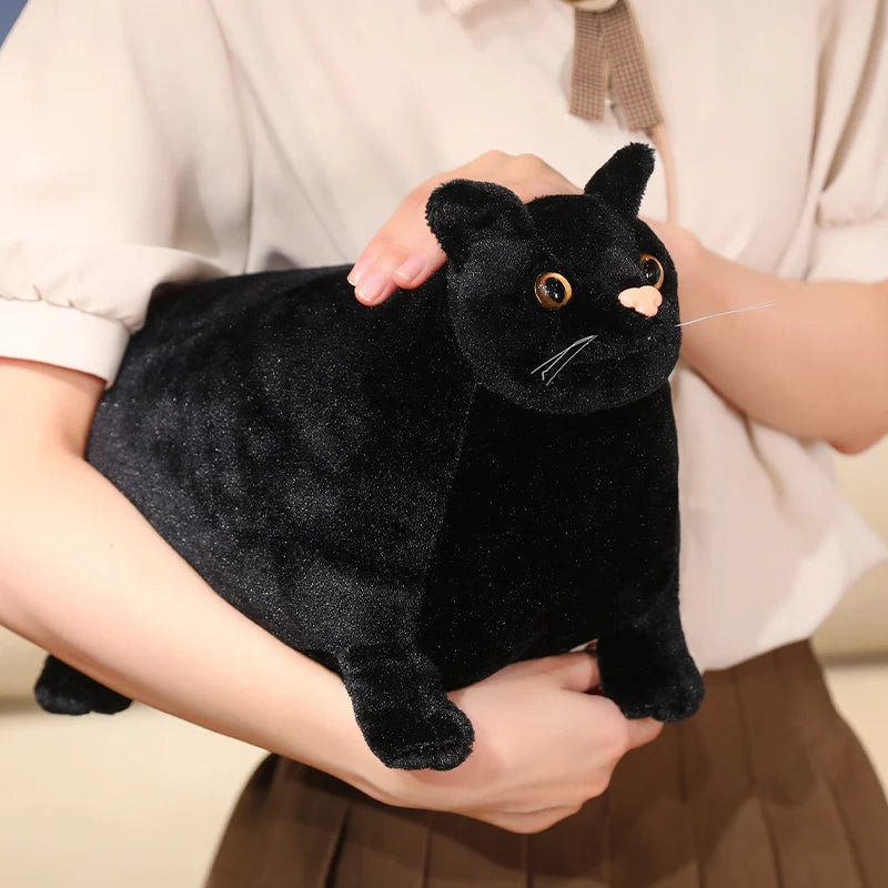 30/50cm Chubby Fat Cat Plushie Toy 3D Simulation Little Head Big Body Animal Doll Huggable Pillow Home Decoration