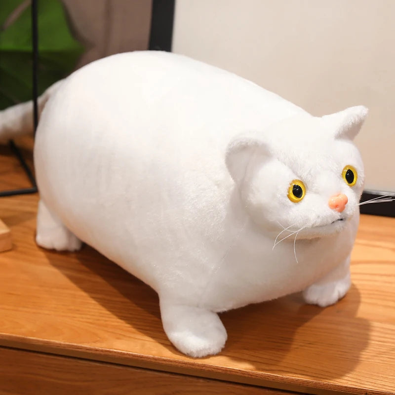 30/50cm Chubby Fat Cat Plushie Toy 3D Simulation Little Head Big Body Animal Doll Huggable Pillow Home Decoration