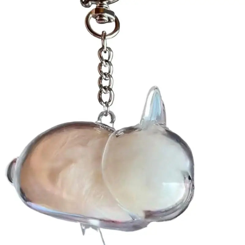 Pet Hair Transparent Rabbit Hair Organizer Pendant Keychain Backpack Souvenirs Storage Capsule Pet Memorial Collection Bag