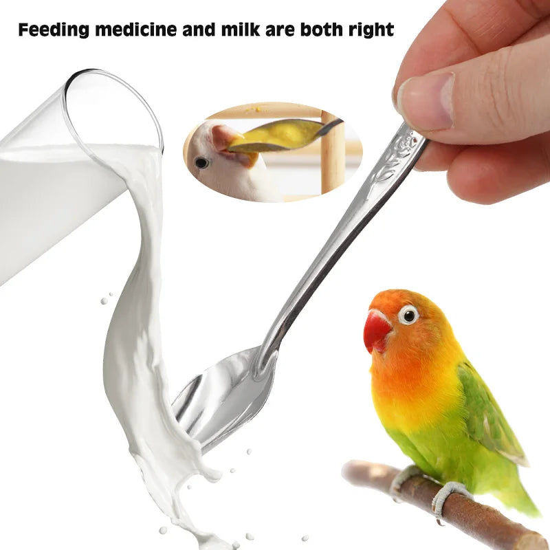 1-10 Pcs Bird Feeder Spoons Portable Aluminum Feeding Supplies Baby Bird Parrot Feeding Milk Spoon Birds Durable Care Tool