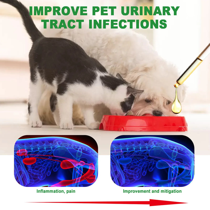 Pet Care Drops specially formulated for cats and dogs To Ease Pain And Discomfort In Cats And Dogs, Pet Care Solution 60ml