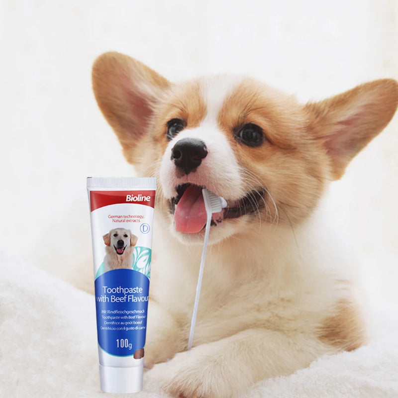 Pet Dog Toothpaste Beef, Chicken, Mint, Sweet Orange Flavors Oral Cleaning Care Fresh Breath Brushing Supplies for Pets