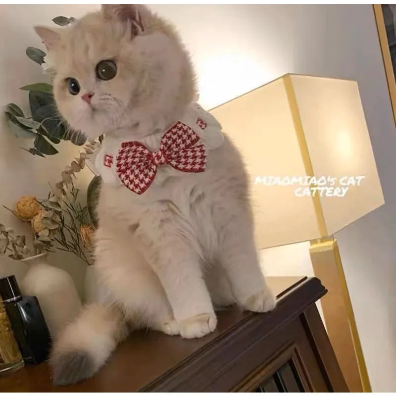 Pet drool towel with printing lace cute cat tie dog tie suitable for large, medium, and small pets going out to catch the eye