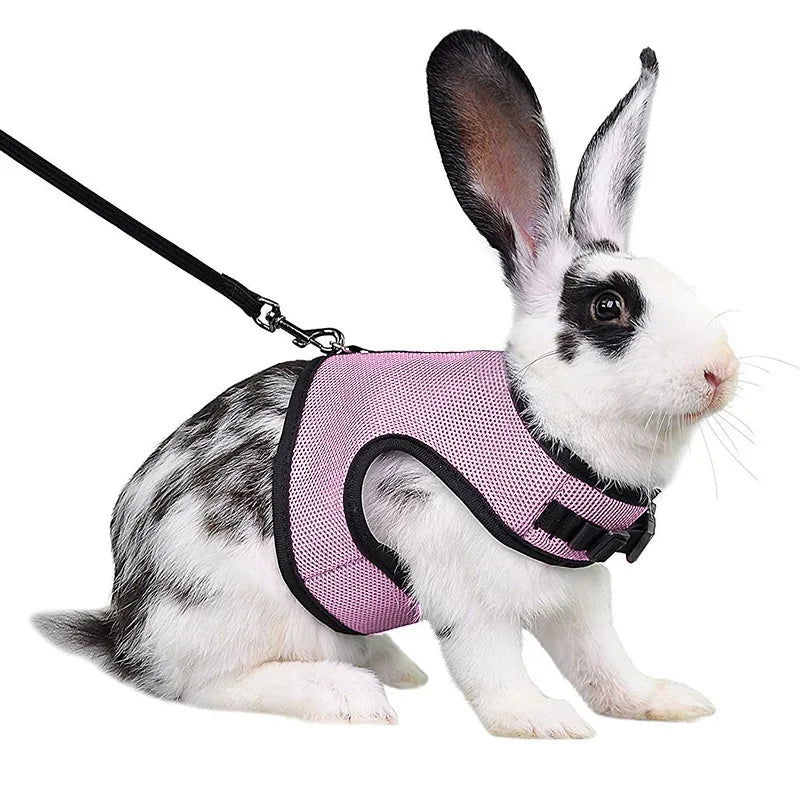 Mesh Breathable Pet leash Ferret Leash Set for Small Animals Rabbit Hamsters Summer Walking Pet Lead mascotas Accessories