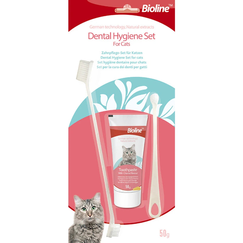 Pet Dog Toothpaste Beef, Chicken, Mint, Sweet Orange Flavors Oral Cleaning Care Fresh Breath Brushing Supplies for Pets