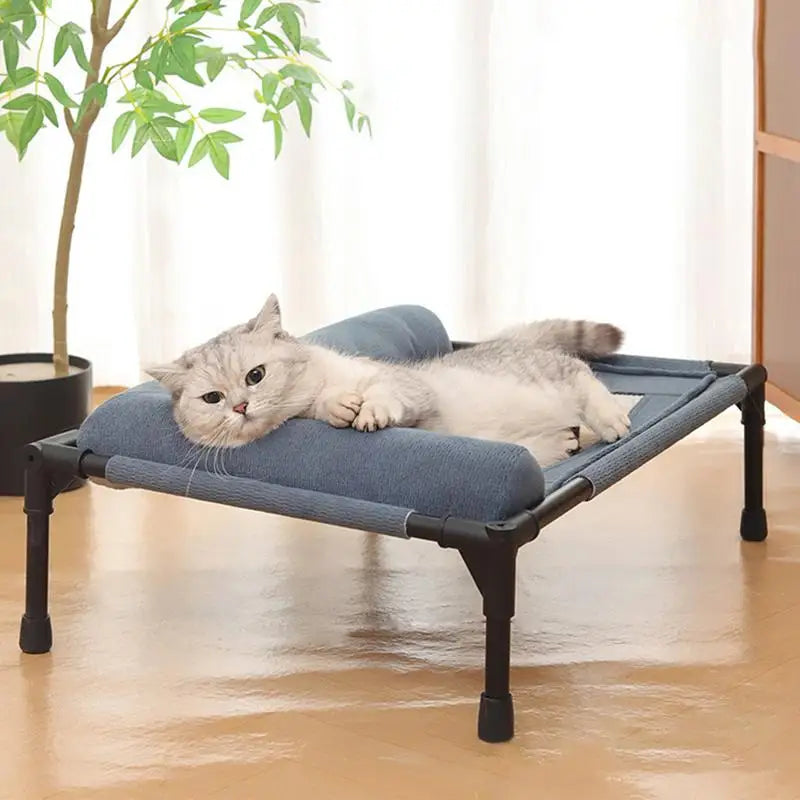 Dog Cot Outdoor Dog Bed With Pillow And Breathable Mesh Removable Pet Furniture For Cat Patio Sunbathing Travel Training Home