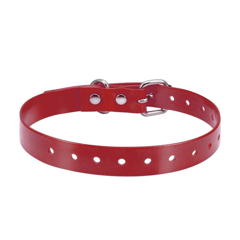 Dog TPU Collar Personalized Pet Collar Dog Nylon Collar Pet Cat Collars for Small Medium Large Dogs Fashion Necklace
