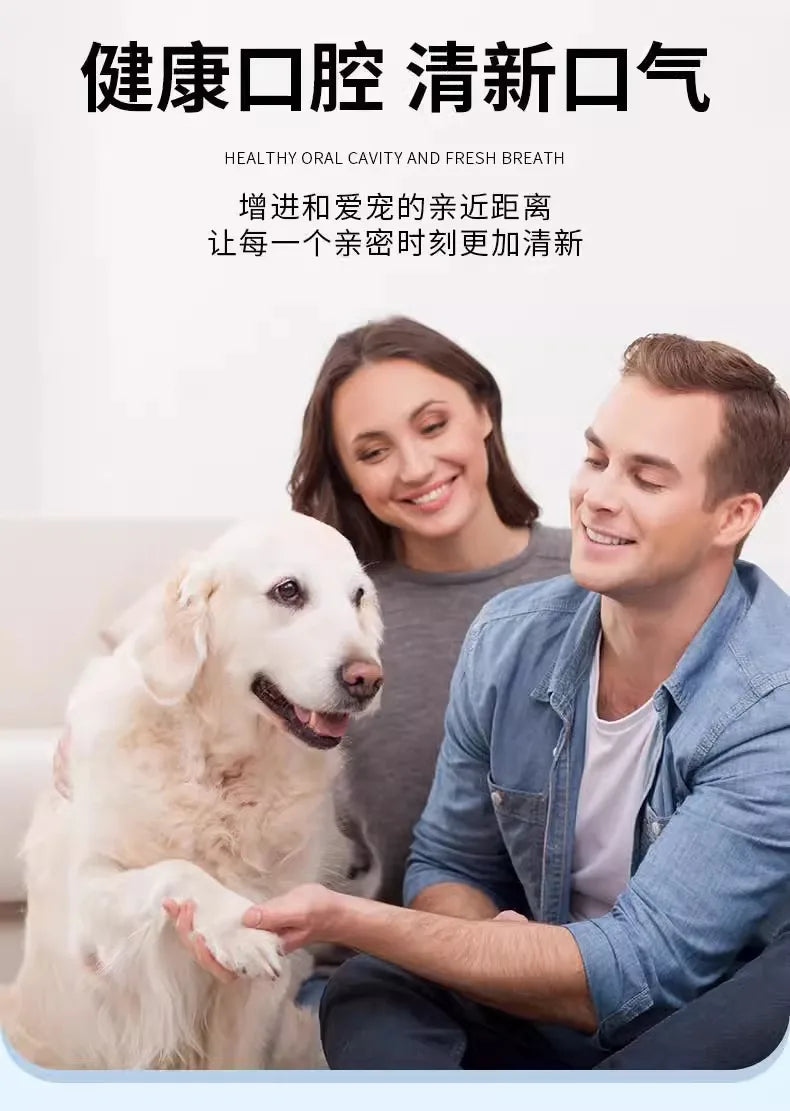 Pet Beauty Teeth Pen For Dog Cat Painless Pet Dog/Cat Teeth Cleaning Pen For Dog Cat