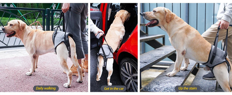 Dog Leg Strap Disability Brace Help Walking Harness Auxiliary Belt For Recovery Postoperative Rehabilitation Dog Accessoires