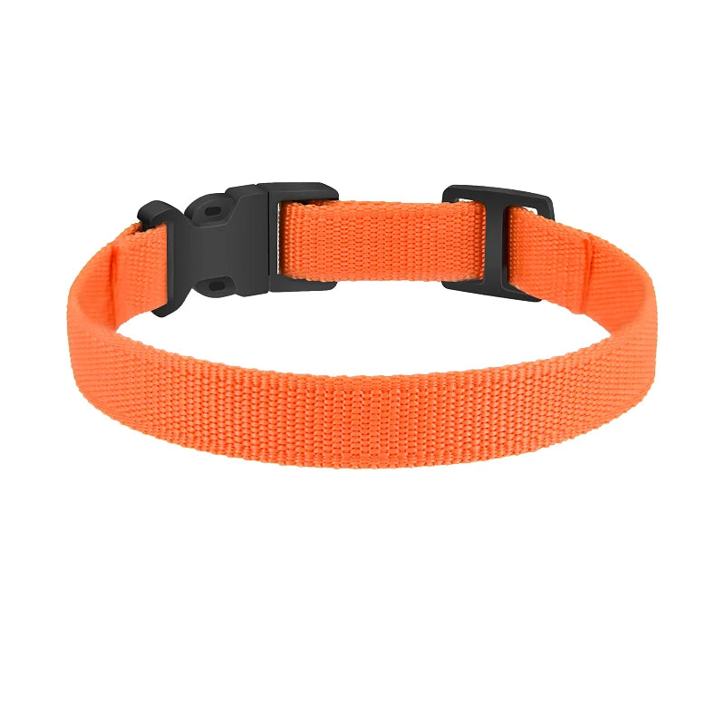 Dog TPU Collar Personalized Pet Collar Dog Nylon Collar Pet Cat Collars for Small Medium Large Dogs Fashion Necklace