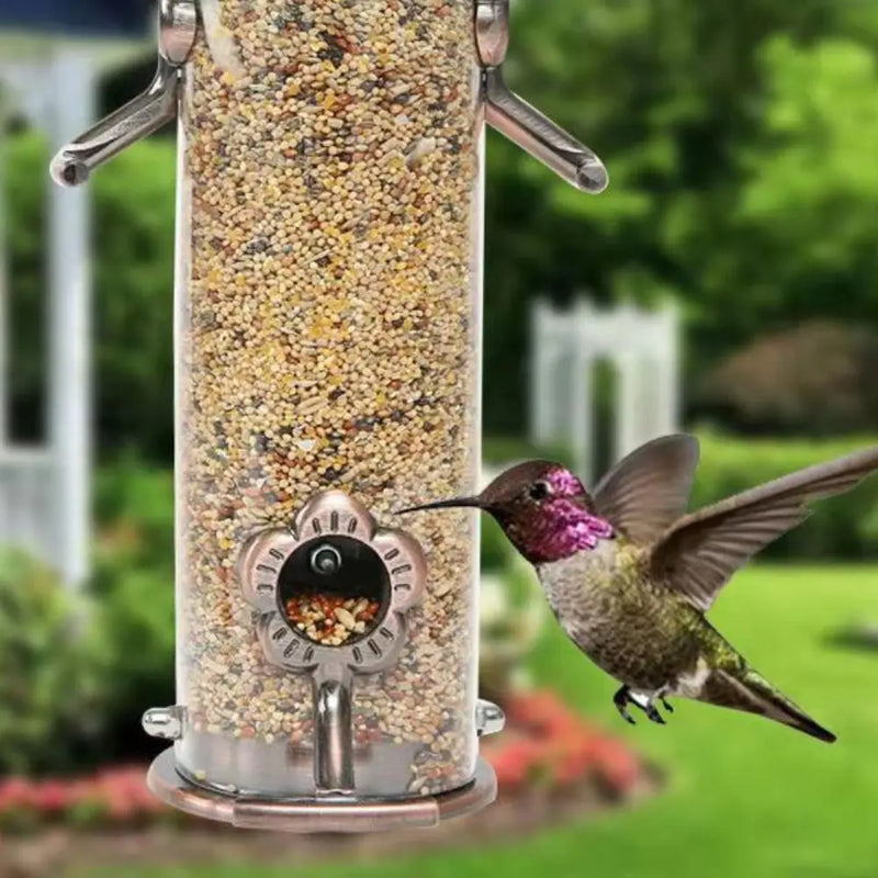 Pet Supplies Metal Bird Feeder Automatic Transparent Bird Food Dispenser Waterproof Large Capacity Bird Feeding Bowl Outdoor