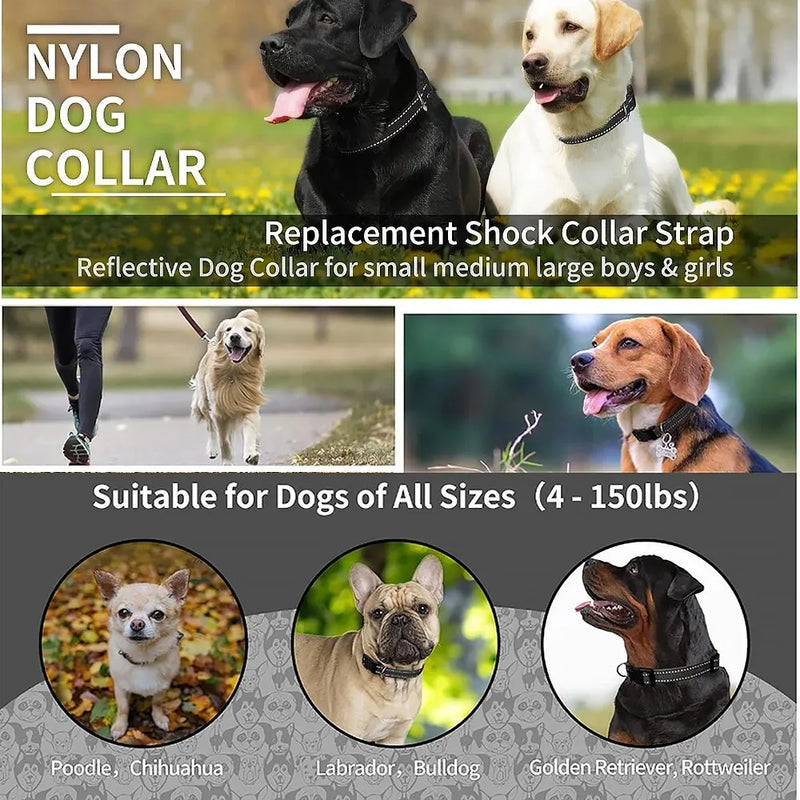PaiPaitek 1Pcs Replacement Shock Collar,Adjustable Dog Collar with Quick Release Buckle Nylon Collar for Small Medium Large Dog