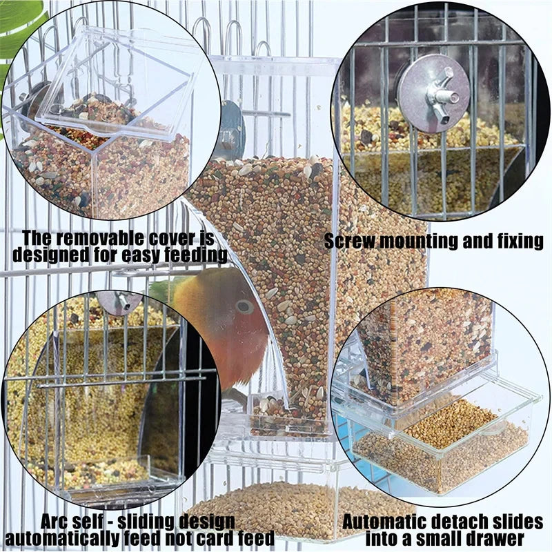 Parrot Bird FeederSpill-proof Automatic DispenserSplash-proof Outside FeederBird FeederTiger PeonyPhoenixBird Supplies