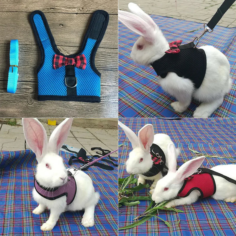 Cute Rabbit Harness Leash Set Bunny Vest Harnesses Guinea Pig Leashes For Outdoor Walking Lead Rope For Small Pets Supplies