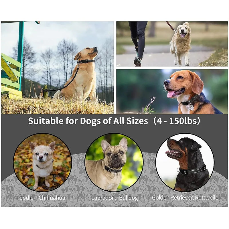 PaiPaitek 1Pcs Replacement Shock Collar,Adjustable Dog Collar with Quick Release Buckle Nylon Collar for Small Medium Large Dog