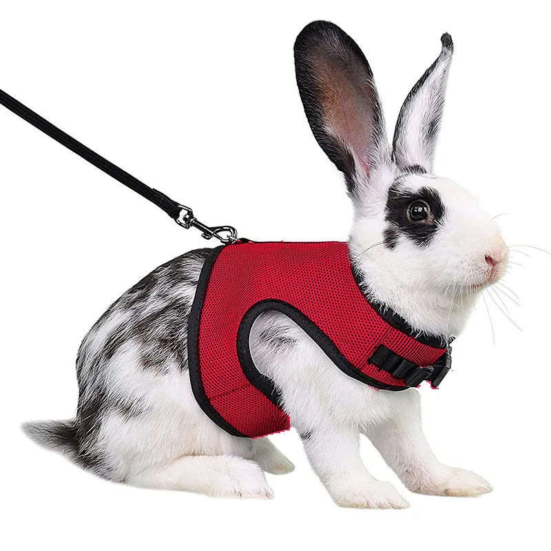 Mesh Breathable Pet leash Ferret Leash Set for Small Animals Rabbit Hamsters Summer Walking Pet Lead mascotas Accessories