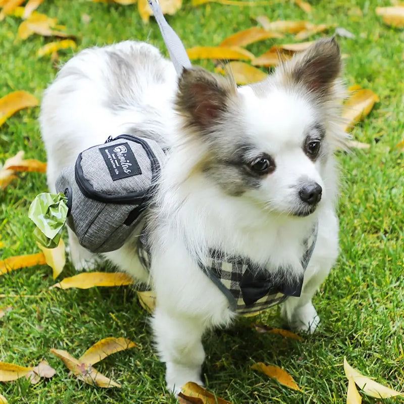 Pet Accessories Portable Dogs Waste Bags With Hook Dog Treat Pouch Dog Training Bag Pet Waste Bag Dispenser Dog Poop Bag Holder