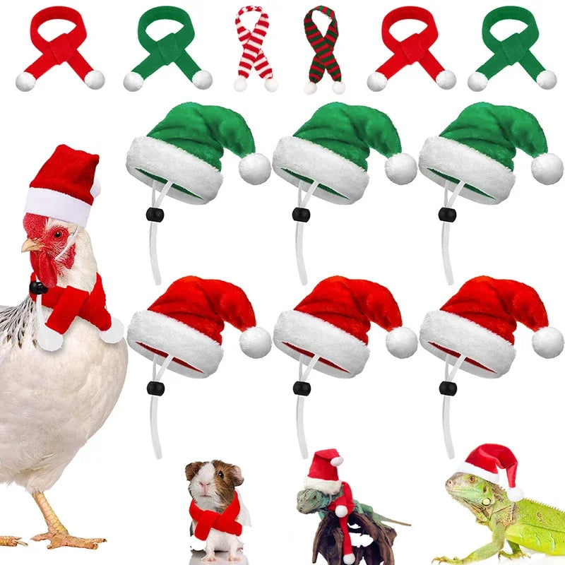 Christmas Pet Chicken Hat Scarf Set Mini Red Green Santa Hat Scarf Xmas Small Animal Hat for Hen Duck Hamster GuineaPig Parrot