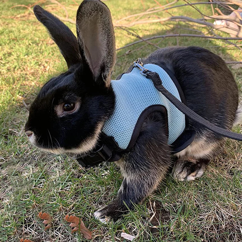 Mesh Breathable Pet leash Ferret Leash Set for Small Animals Rabbit Hamsters Summer Walking Pet Lead mascotas Accessories