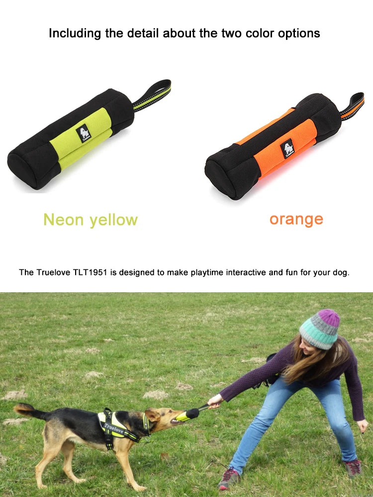 Truelove Dog Training Retriever Snack Bag Oxford Reusable with Zipper High Quality Durable Treat Pouch TLT1951