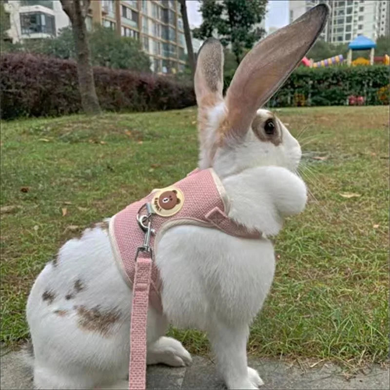 Cartoon Print Cat Rabbit Harness and Leash Set Bunny Rabbits Pet Accessories Bunnies Vest Clothes lapin accessoires pour animaux
