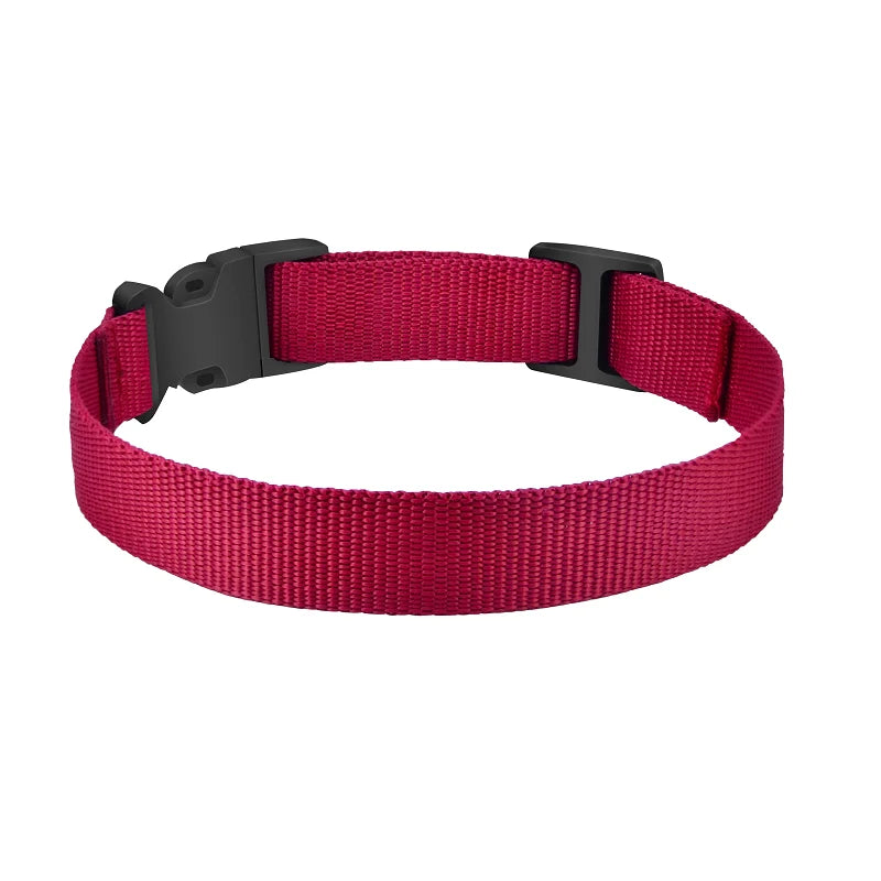 Dog TPU Collar Personalized Pet Collar Dog Nylon Collar Pet Cat Collars for Small Medium Large Dogs Fashion Necklace