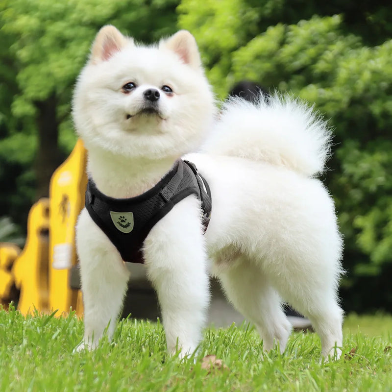 Reflective Safety Pet Dog Harness and Leash Set for Small Medium Dogs Cat Harnesses Vest Puppy Chest Strap Pug Chihuahua Bulldog