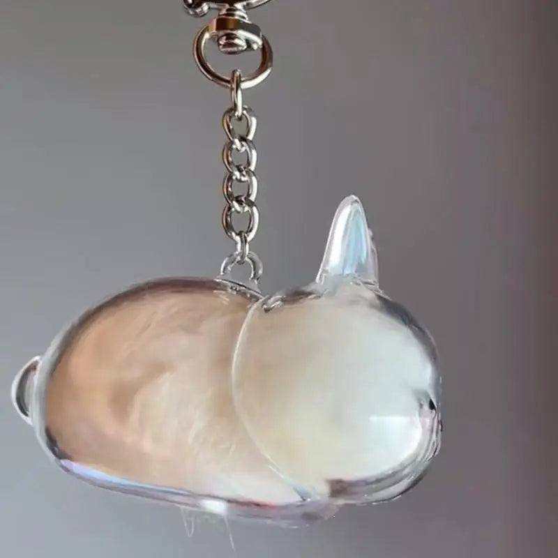Pet Hair Transparent Rabbit Hair Organizer Pendant Keychain Backpack Souvenirs Storage Capsule Pet Memorial Collection Bag